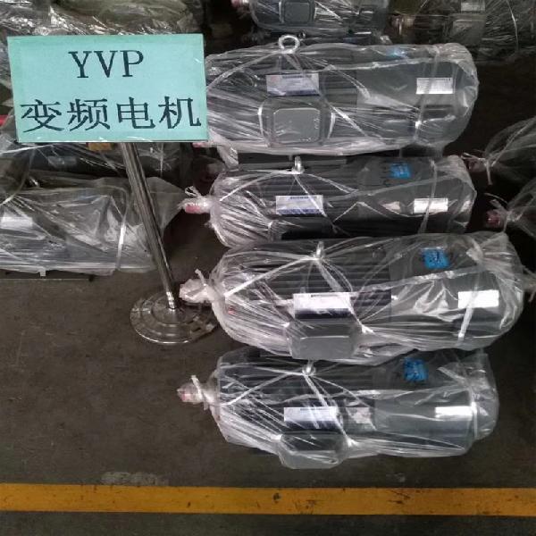 YVP變頻調速三相異步電動機