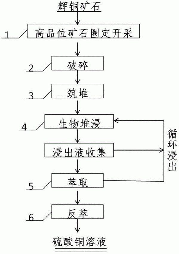 強化提取高品位輝銅礦中銅的方法與流程