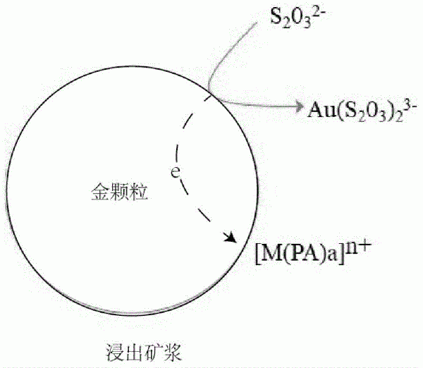 硫代硫酸鹽浸金方法及應(yīng)用與流程