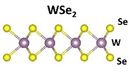 CVD氧化硅/硅基底單層二硒化鎢