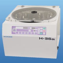 h-36a.jpg