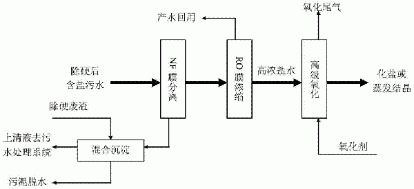 廢鹽綜合利用的處理方法與流程