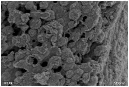 一種生物炭負載鐵基納米改性材料及其制備方法和應用與流程