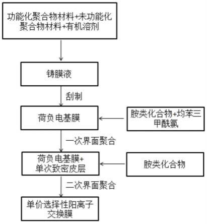 單價選擇性陽離子交換膜及其制備方法與應(yīng)用