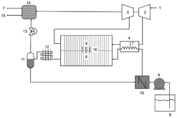 緊湊型低溫直接氨燃料電池系統(tǒng)