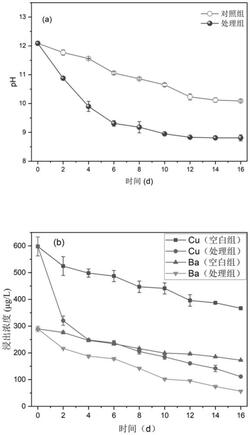 快速碳固定和穩(wěn)定化的焚燒爐渣預(yù)處理方法