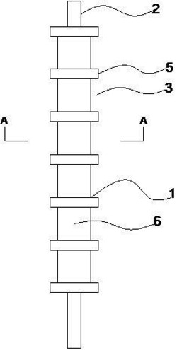 輥式振動(dòng)篩、篩分組件以及振動(dòng)篩分輥