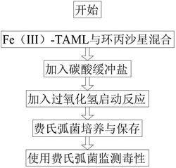 高效降解環(huán)丙沙星的催化氧化方法及其產(chǎn)物毒性評(píng)估方法