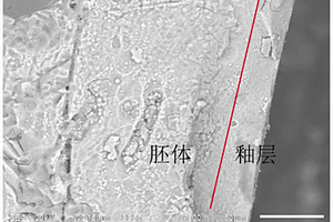 地質(zhì)聚合物釉面磚及其制備方法