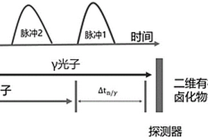 可同時(shí)探測(cè)γ射線和快中子的二維有機(jī)無(wú)機(jī)雜化鈣鈦礦閃爍體及其制備