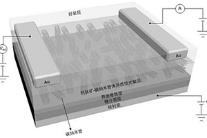 基于鈣鈦礦-碳納米管體異質(zhì)結(jié)的寬譜光電探測(cè)器