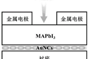 基于等離激元效應(yīng)的鈣鈦礦弱光探測(cè)器