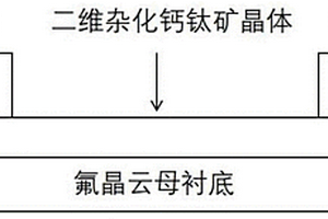 二維有機無機雜化鈣鈦礦晶體光電探測器及其制備方法