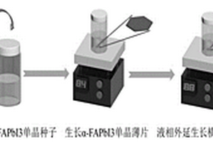 自驅(qū)動(dòng)鈣鈦礦橫向單晶異質(zhì)結(jié)光電探測器及制備方法