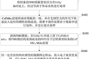 微米線陣列高性能鈣鈦礦型光電探測器、制備方法及應(yīng)用