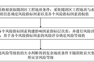 復(fù)雜地質(zhì)條件下隧洞軟巖大變形災(zāi)害風(fēng)險(xiǎn)等級(jí)判定方法