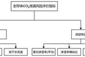 二氧化碳地質(zhì)封存體中泄漏風(fēng)險的評價方法