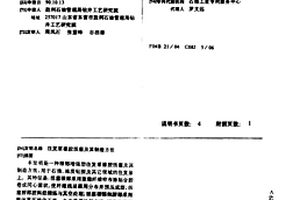 往復泵橡膠活塞及其制造方法