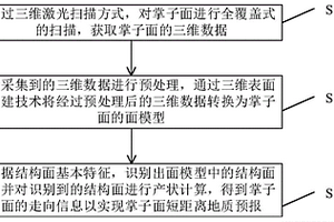 用于掌子面結構面的信息采集與分析方法及裝置