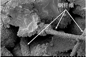 微生物固化-纖維加筋聯(lián)合改性砂土的方法