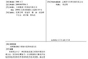 盾構(gòu)隧道施工檢修環(huán)境的形成方法