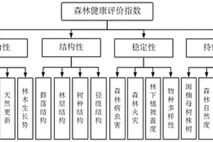 閩楠天然次生林健康評(píng)價(jià)模型及健康評(píng)價(jià)方法