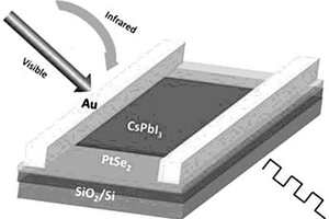 PtSe<Sub>2</Sub>/CsPbI<Sub>3</Sub>異質(zhì)結(jié)光電探測器及其制備方法和應用