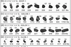 利用鋯石快速判斷脈狀礦床成礦潛力的礦產(chǎn)勘查方法