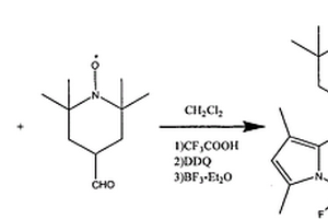 熒光探針及其在檢測(cè)二價(jià)鐵中的應(yīng)用