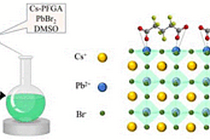 全氟戊二酸鈍化的CsPbBr3鈣鈦礦納米晶的制備與應(yīng)用