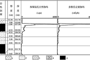 利用鉆孔自然伽瑪測井資料計算輻射劑量率的方法