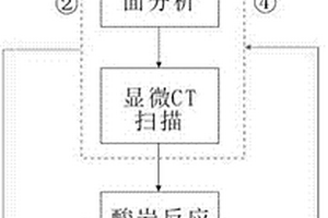 砂巖酸巖反應效果可視化定量評價方法