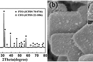 具有強磁電耦合效應的二維單晶PbTiO<sub>3</sub>-CoFe<sub>2</sub>O<sub>4</sub>復合納米材料的制備方法