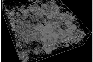煤炭樣品組分分布及物理結(jié)構(gòu)可視化的定量CT表征方法