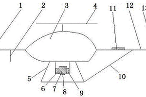 無人直升機(jī)航磁測量系統(tǒng)