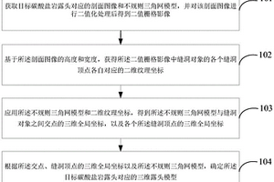 三維露頭模型確定方法及裝置