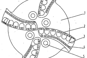 復(fù)合切削結(jié)構(gòu)鉆頭