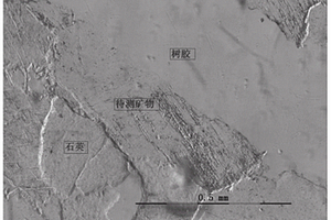 巖石中透明礦物突起等級(jí)的確定方法、系統(tǒng)及應(yīng)用