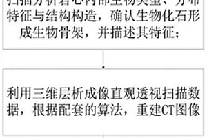 基于三維層析成像的藻礁白云巖判別與物性分析方法