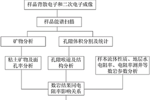 利用數(shù)字巖心技術(shù)快速識(shí)別評(píng)價(jià)低阻油氣層方法