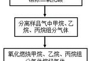 多烷烴組分氣體δ<Sup>13</Sup>C同位素錄井方法及裝置