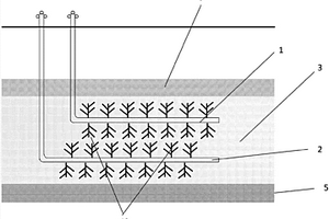 天然氣水合物平行水平井注熱水開(kāi)采的方法