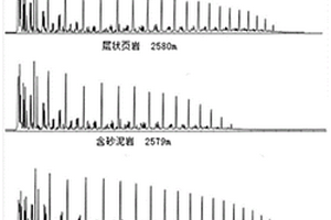 泥頁巖含油量與精細(xì)組分同步實驗分析方法