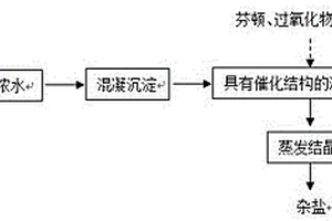 RO濃水的零排放深度處理工藝