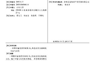 聚合氯化鋁中納米Al13形態(tài)及其分離純化方法與應(yīng)用