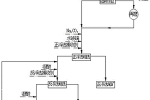 低品級硅鈣質(zhì)膠磷礦的細篩再磨混合浮選方法