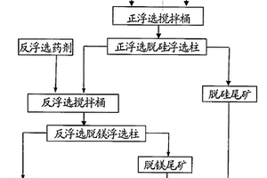 磷礦柱式分選工藝及設備