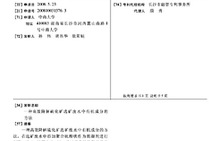 高效降解硫化礦選礦廢水中有機(jī)成分的方法