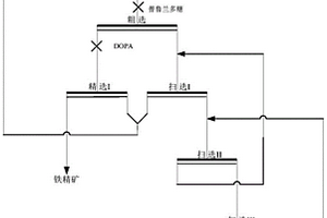 無(wú)需調(diào)節(jié)酸堿度的鐵礦常溫反浮選方法