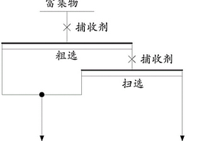 實(shí)現(xiàn)鋯石和黃玉分離的浮選捕收劑及其應(yīng)用